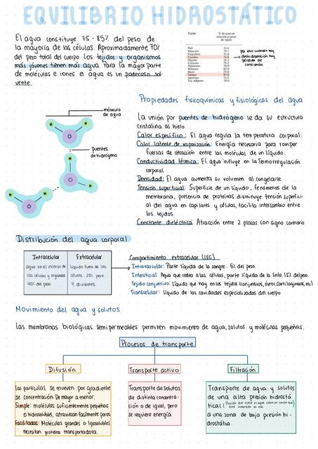 Equilibrio Hidrostático | Josselyne Penafiel Medicina | uDocz