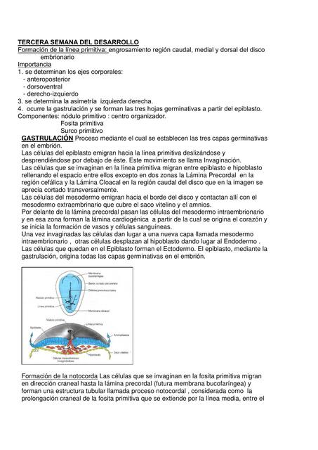 Tercera Semana del Desarrollo