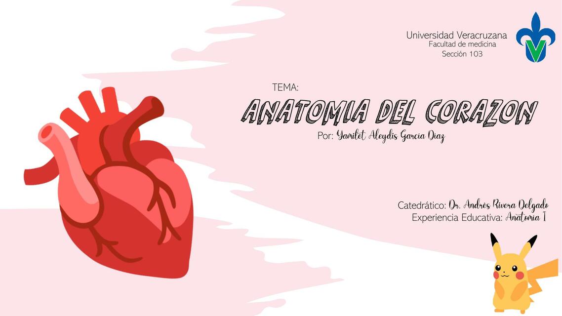 Anatomía del Corazón 