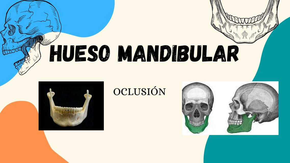 Hueso Mandibular 