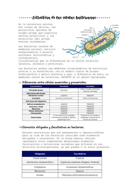 Estructura de las Células Bacterianas