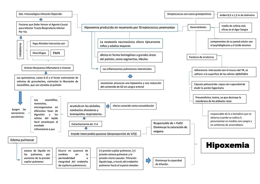 Mapa integrado de fisiopatología - hipoxia en neumonía 