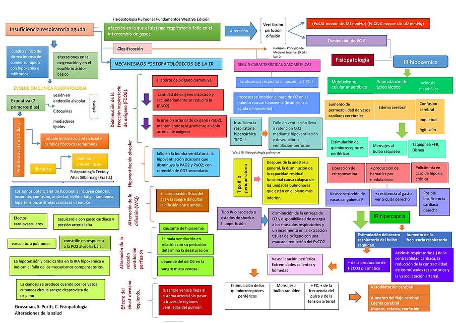 MAPA INTEGRADO MECANISMOS - insuficiencia respiratoria aguda 