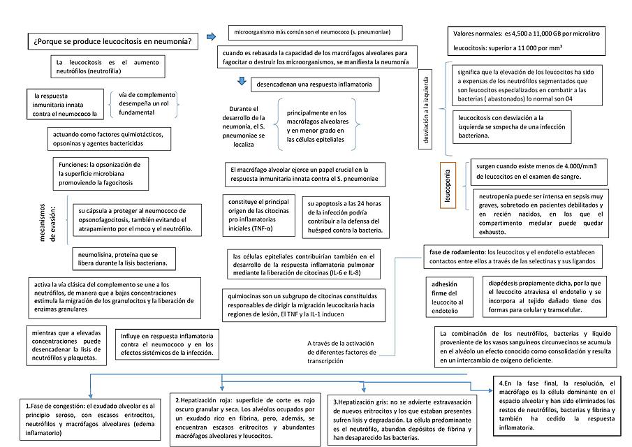 leucositosis fisiopatologia 