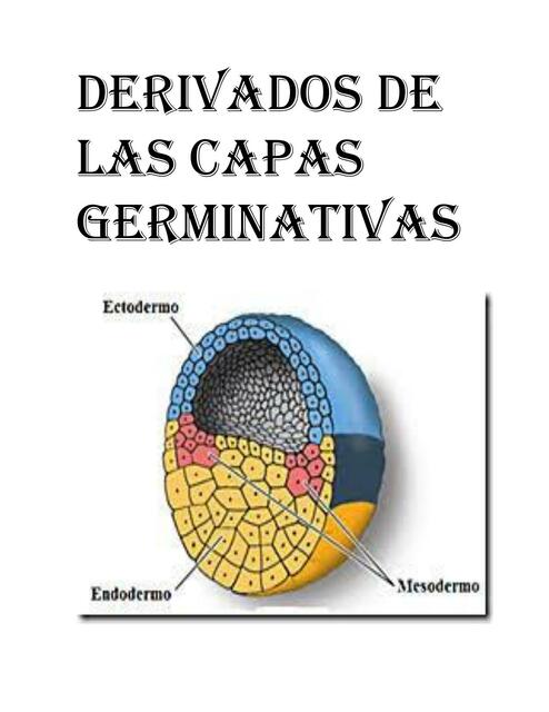 Derivados de las Capas Germinativas 