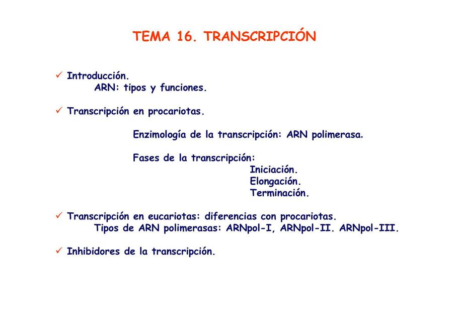 Transcripcion