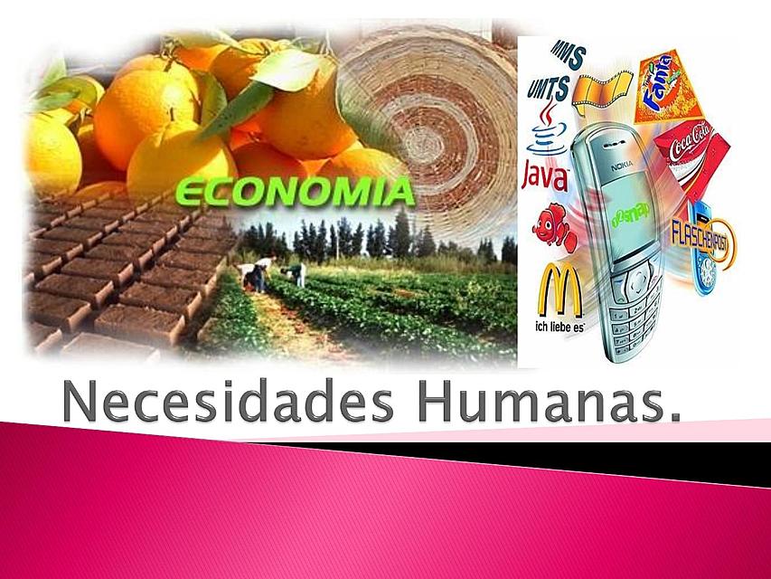 Necesidades Humanas II