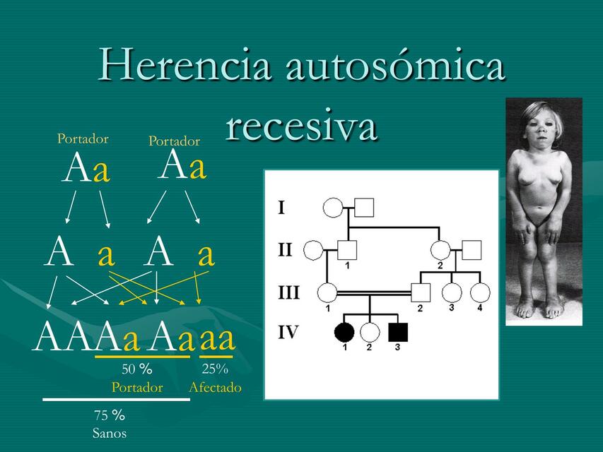 Herencia Autosómica Recesiva