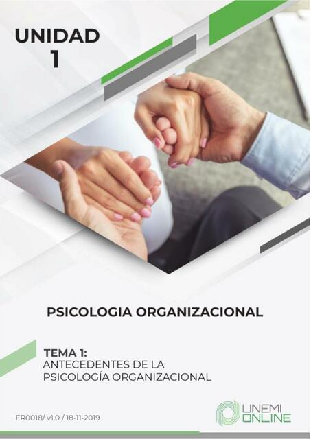 Psicología Organizacional 