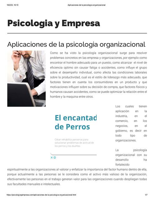 Aplicaciones de la psicologia organizacional