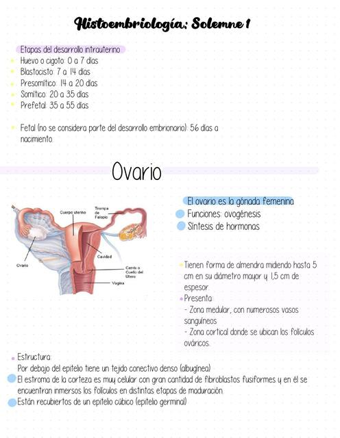 Histoembriología: Solemne 1 