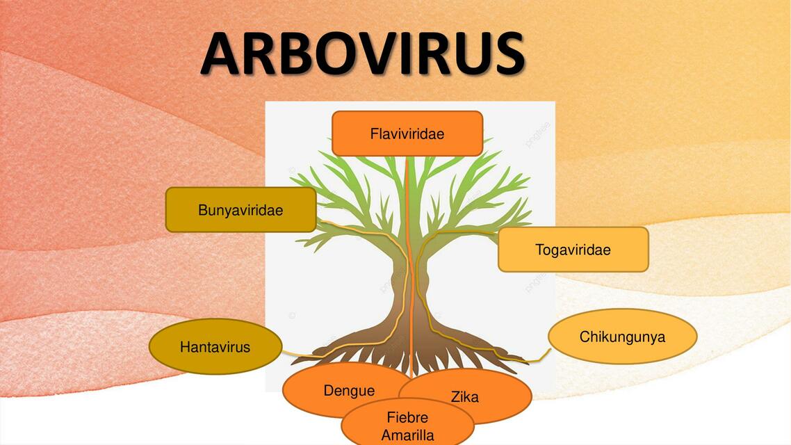 Arbovirus  