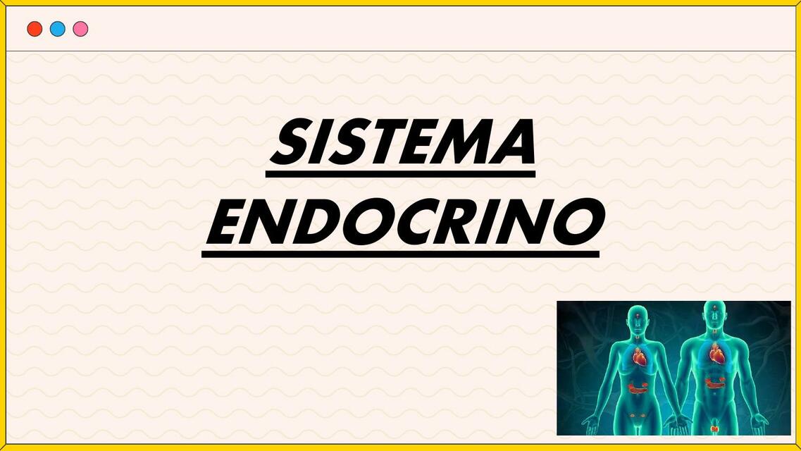 Sistema endocrino 