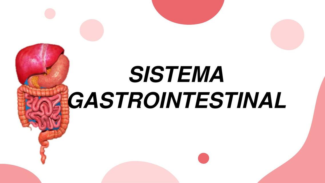 Sistema gastrointestinal