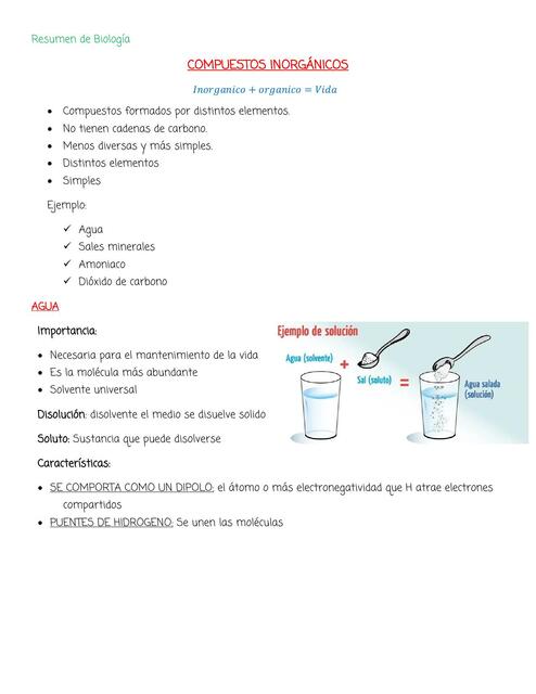 Resumen de Orgánicos e Inorgánicos