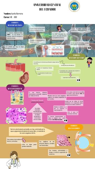 Barrera hematoencefálica y barrera hematotesticular