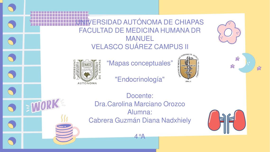 Mapas Conceptuales Endocrinología 