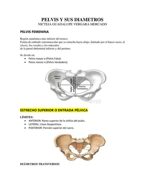 Pelvis y sus diámetros