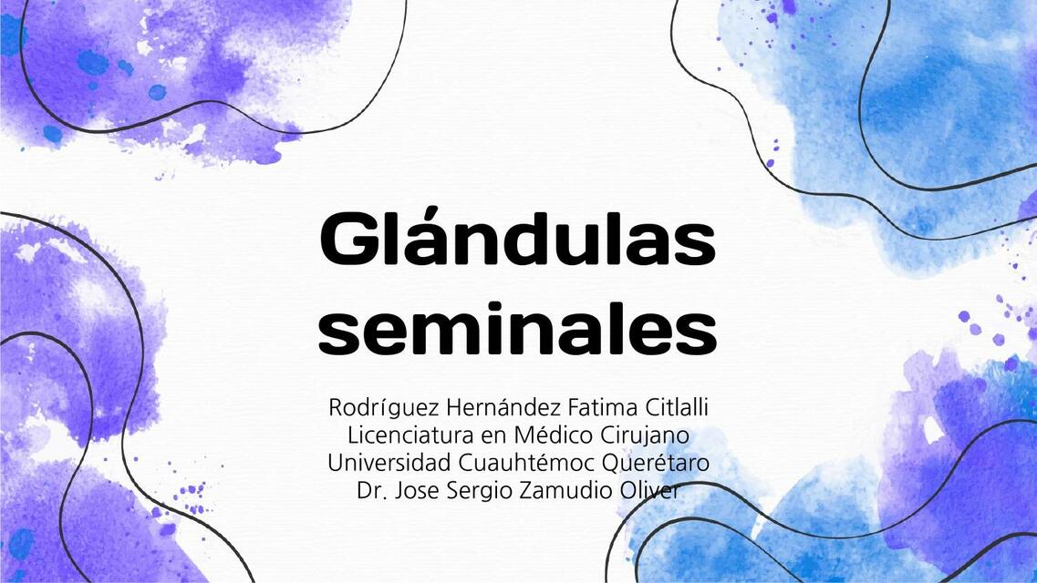 Glándulas seminales