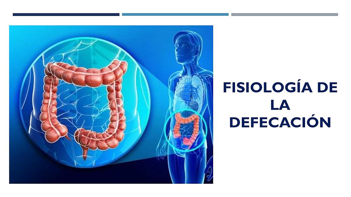 RESUMEN FISIOLOGÍA DE LA DEFECACIÓN