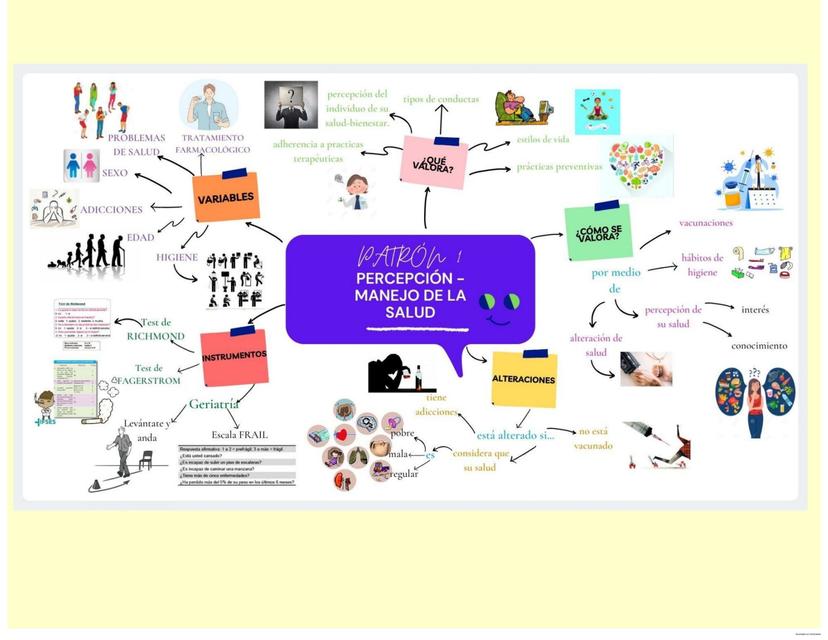 Patrón percepción manejo de la salud 
