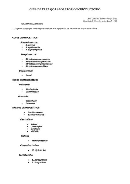 Guía de Trabajo Laboratorio Introductorio 