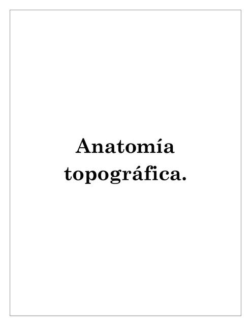 Anatomía Topográfica