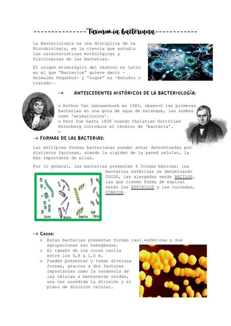 Taxonomía Bacteriana