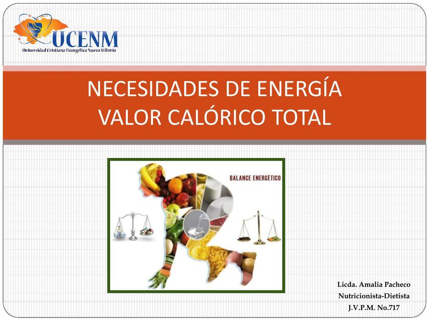 Necesidades de Energía Valor Calórico Total 