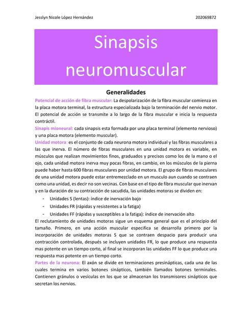 Sinapsis Neuromuscular