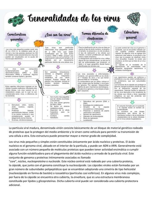 Virus y Antivirales