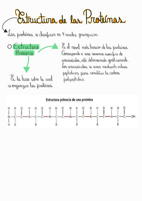 Estructura de las proteínas 