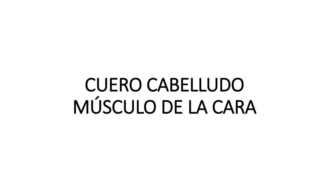 Cuero Cabelludo- Músculos de la Cara 