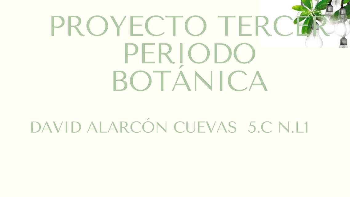 Proyecto de Botánica 