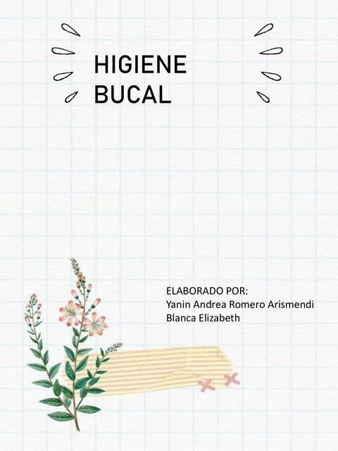 Higiene bucal 