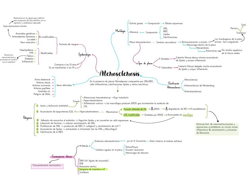 Patología de la Aterosclerosis