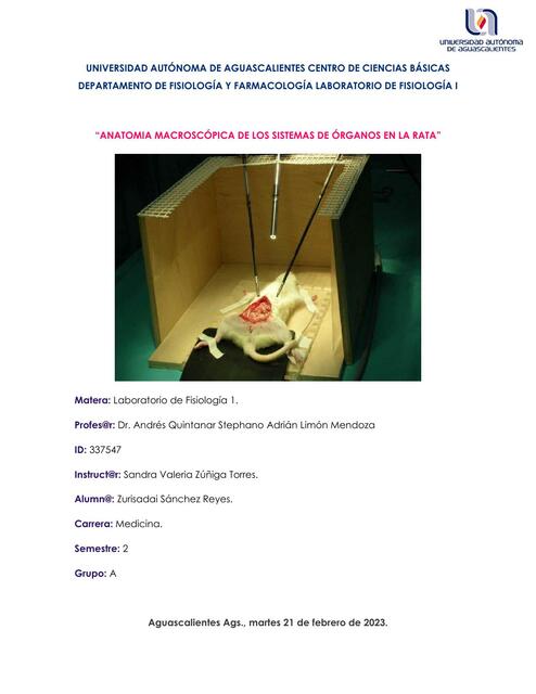 Anatomía Macroscópica de los Sistema de Órganos de la Rata 