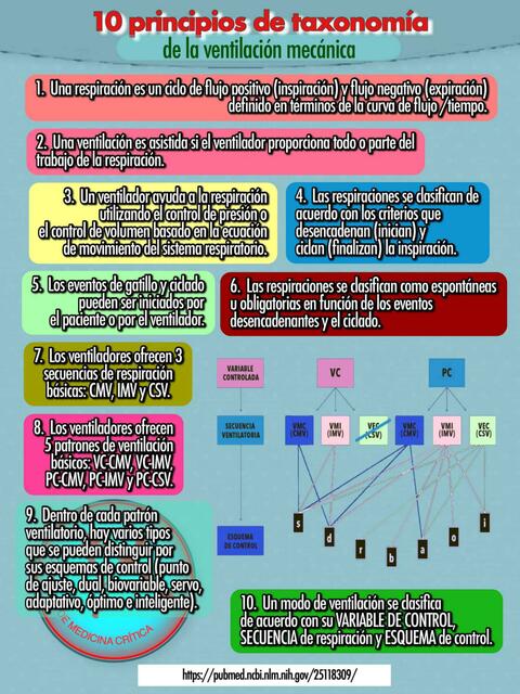 10 Principios para la Taxonomía de la Ventilación | YUDOC.ORG | uDocz