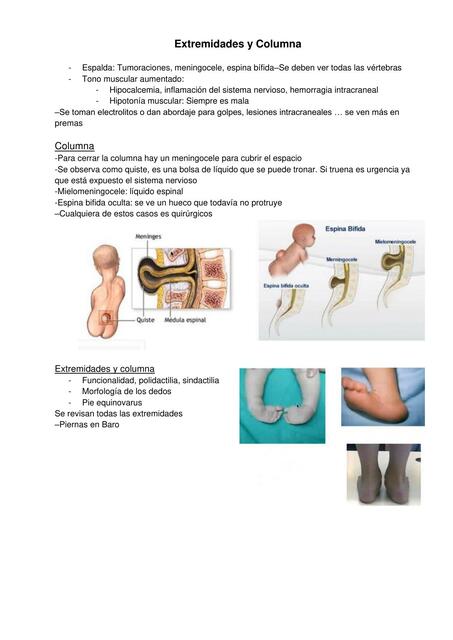 Extremidades y Columna