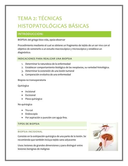 Técnicas Histopatológicas Básicas 