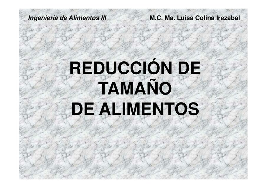 Reducción de Tamaño de Alimentos 