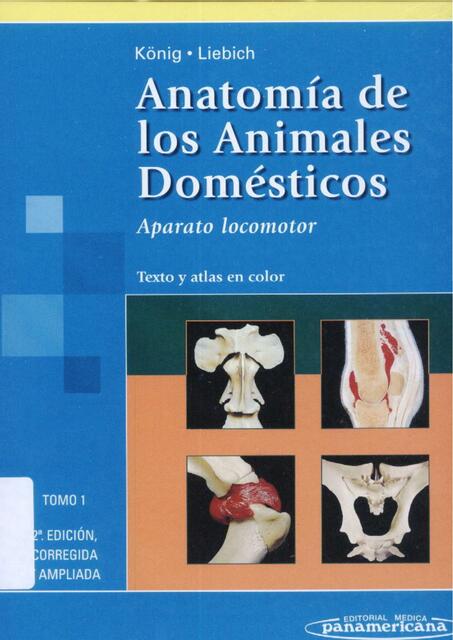 Anatomía Veterinaria Koning TOMO I