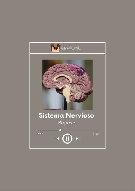 Neuroanatomía Esquemas