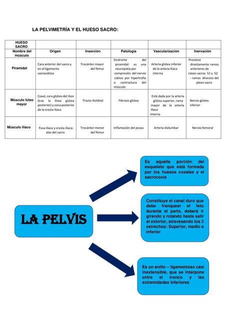 Trabajo del Miembro Inferior y Pelvimetría