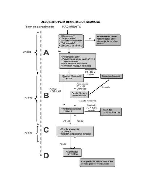 Algoritmo Neonatal