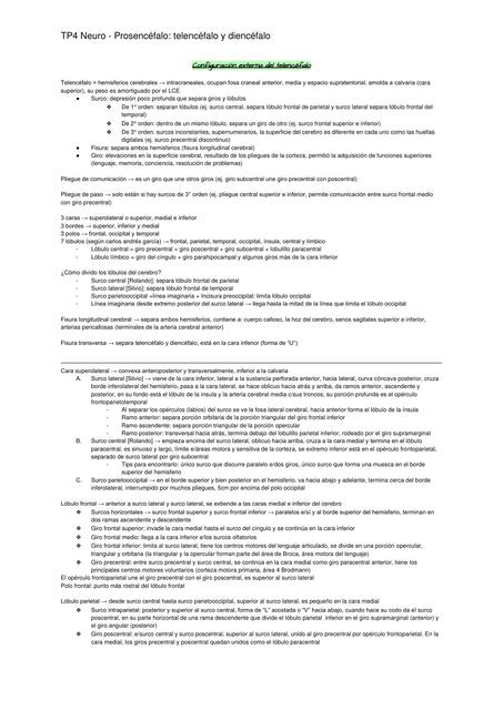 Configuración Externa del Telencéfalo