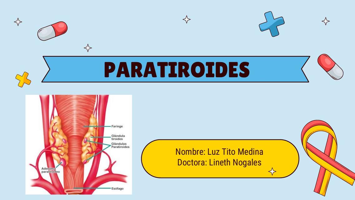 Paratiroides 