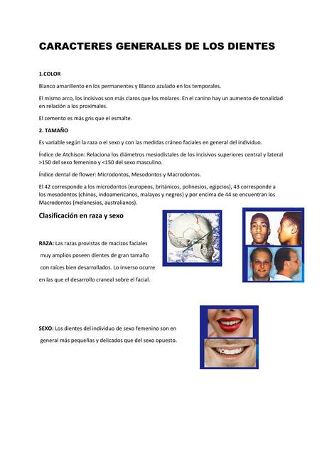 Caracteres Generales de los Dientes 