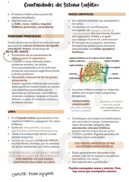 Generalidades  Del  Sistema  Linfático 