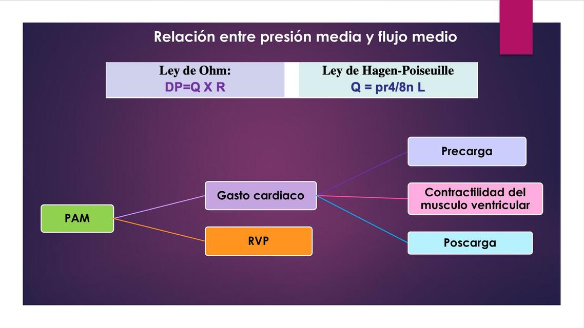 Relación entre Presión Media y Flujo Medio